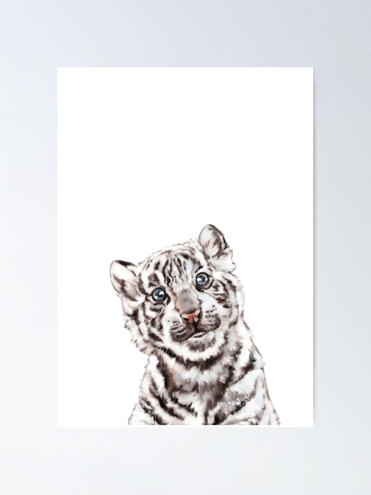 Poster Tigre Blanco Bebe De Bignosework Redbubble