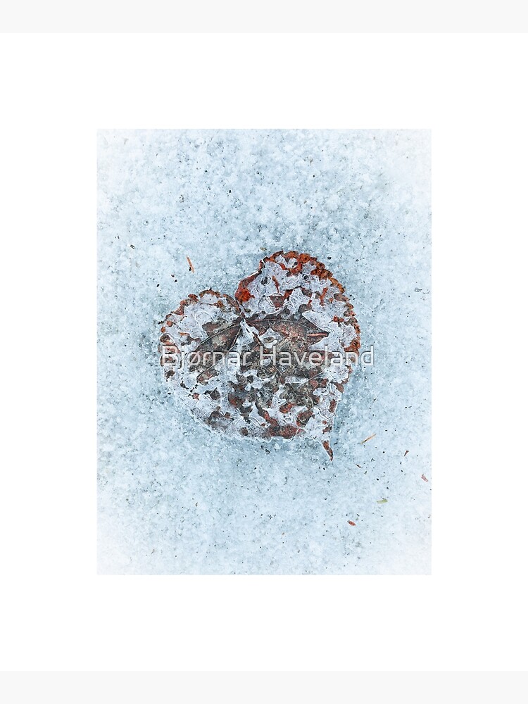 Thumbnail 6 of 6, Mounted Print, Heart On Ice designed and sold by Bjørnar Haveland.