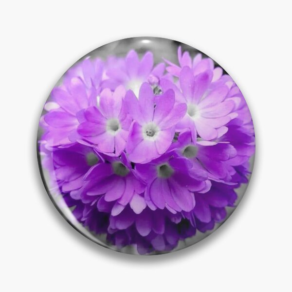 Item preview, Purple ball primrose  designed and sold by KaisPrints.