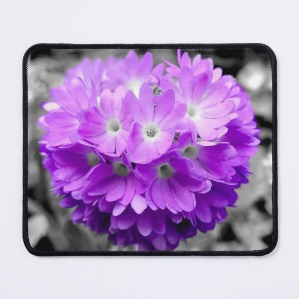 Item preview, Purple ball primrose designed and sold by KaisPrints.