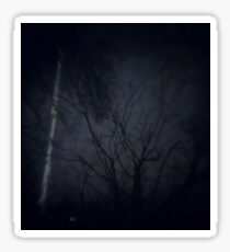 Pinhole Photography - Trees Sticker
