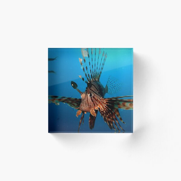 Item preview, Lion Fish designed and sold by Ramadan.