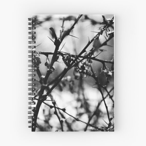 Item preview, Sleeping Berberis - Trees Branches Photography Black & White designed and sold by camera-euphoria.