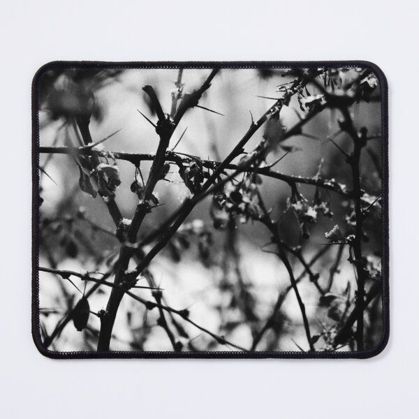 Item preview, Sleeping Berberis - Trees Branches Photography Black & White designed and sold by camera-euphoria.