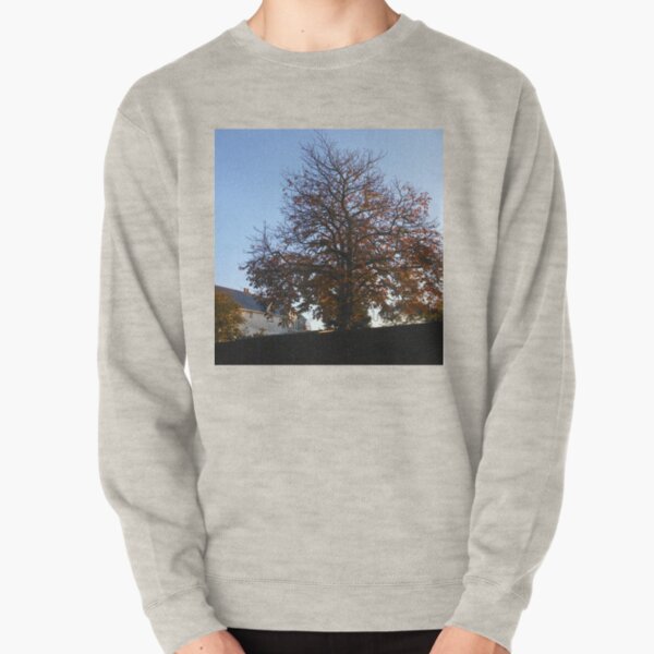 A Tree in Autumn at Sunrise Pullover Sweatshirt