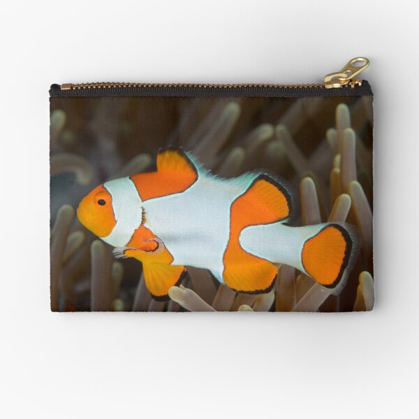 False Clown Anemonefish - Amphiprion ocellaris Zipper Pouch