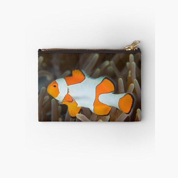 Item preview, False Clown Anemonefish - Amphiprion ocellaris designed and sold by Andrew Trevor-Jones.