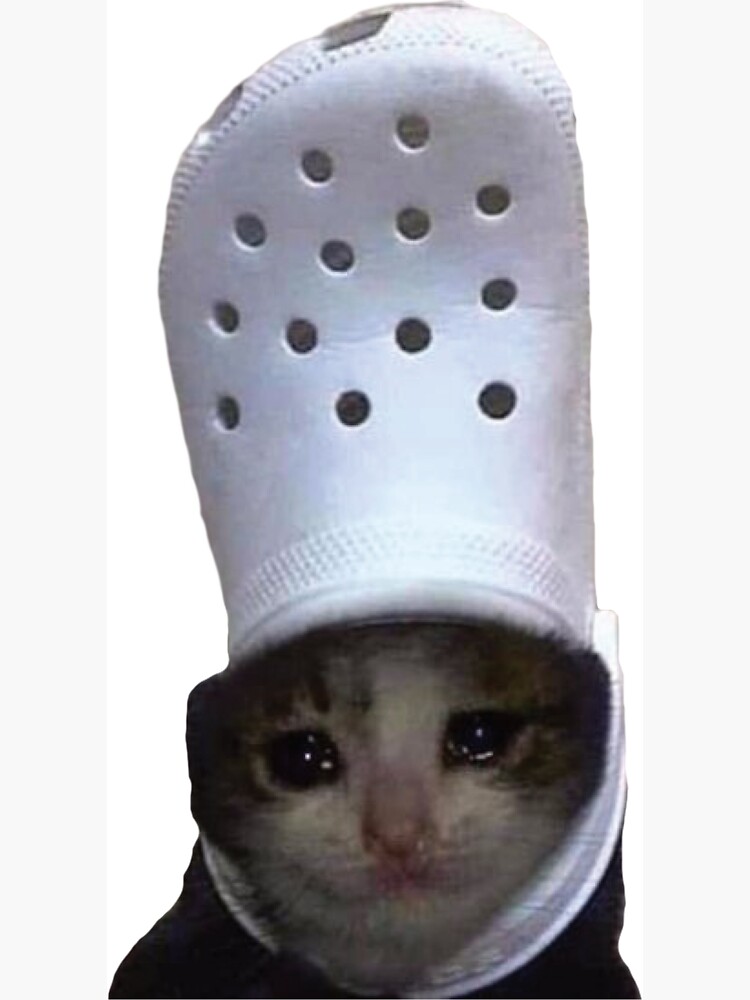 Crocs for cats hotsell