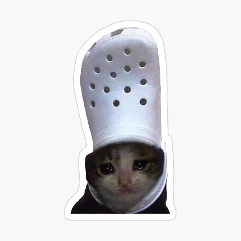 Croc on cat shop