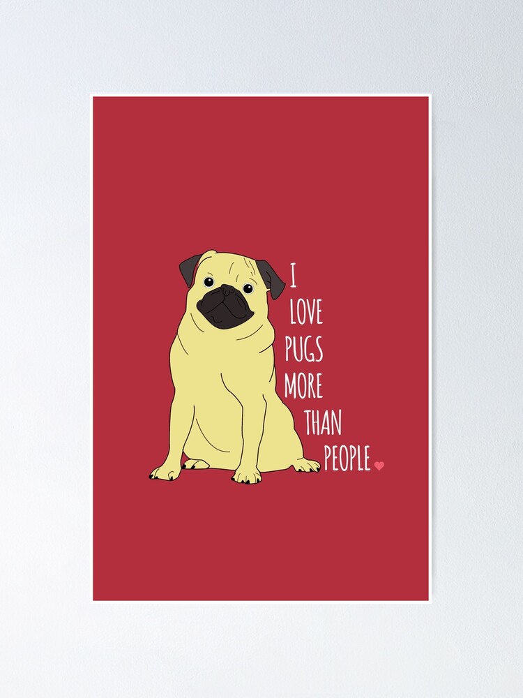 I store love pugs