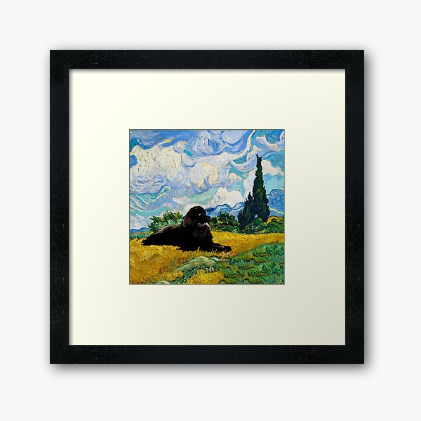 Newfie in Wheat Field with Cypresses Framed Art Print