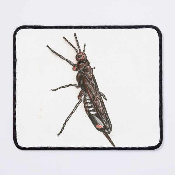 Item preview, Pigeon Tremex designed and sold by Stephanie Wilker.