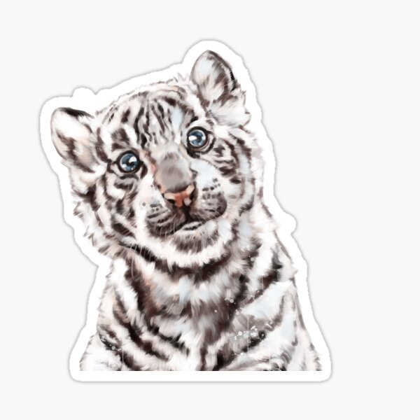 Sticker baby white tiger