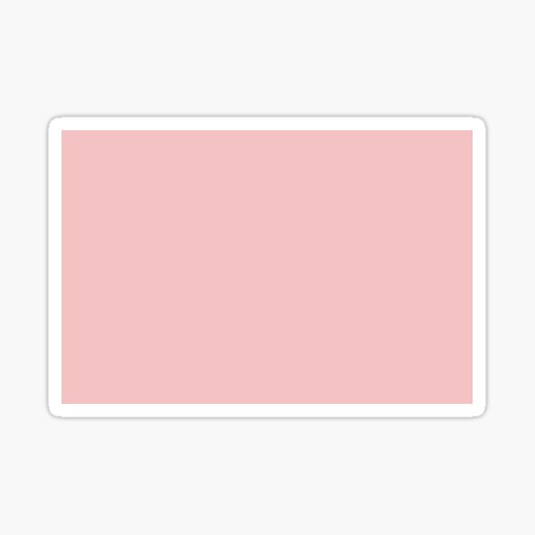 baby-pink-solid-color-single-popular-hues-patternless-shades-of