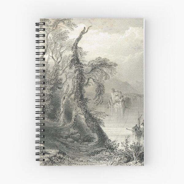 Item preview, Innisfallen Lake Killarney, Ireland 1841 designed and sold by artfromthepast.