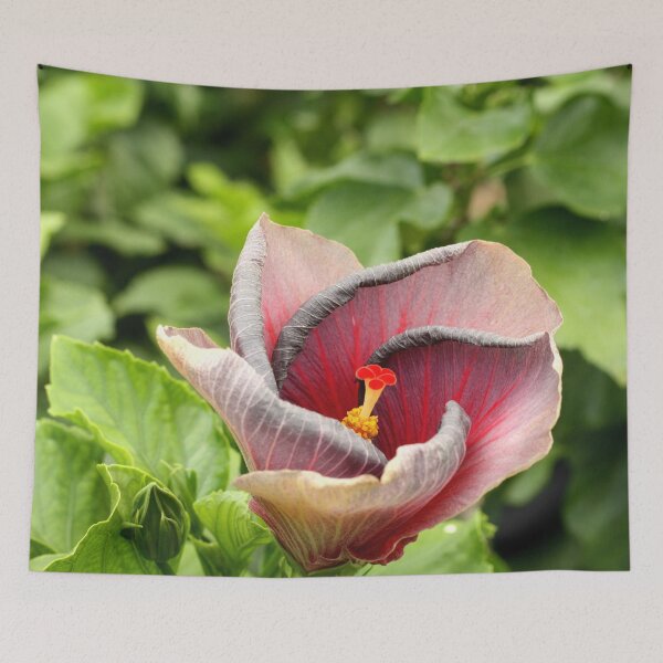 Item preview, Red Stripes designed and sold by MooseDogPhotos.
