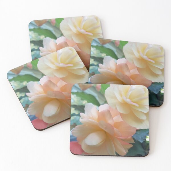 Item preview, Beautiful Begonias designed and sold by MooseDogPhotos.