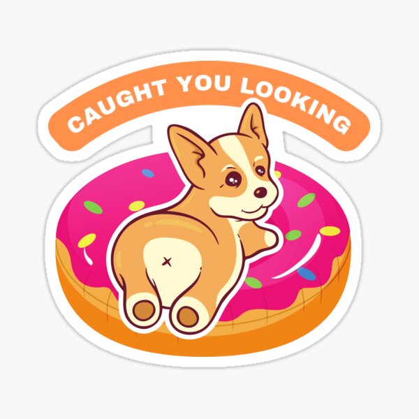 Cute Stuck Corgie Dog Butt Doughnut Sticker – Popwink