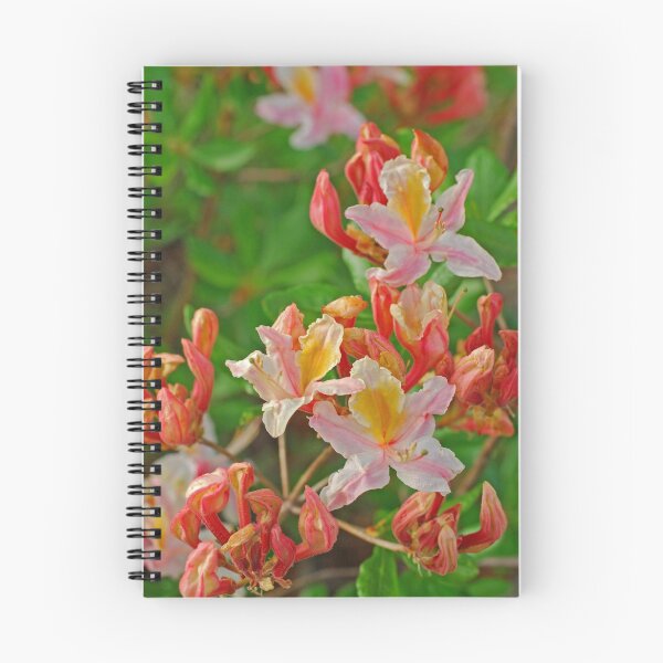 Item preview, Wild Azalea designed and sold by Bryan Spellman.
