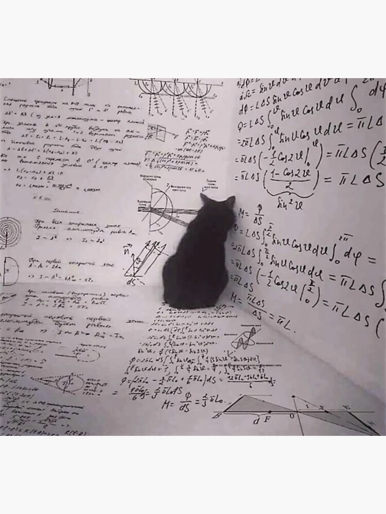 Math not mathing for cat Poster for Sale by Adel-ide