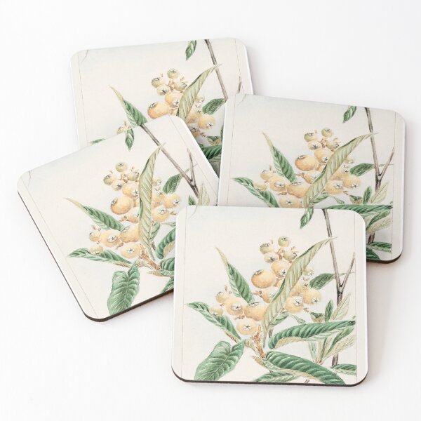 Item preview, Traditional Japanese tree, Biwa loquat - Antique Botanical Illustration designed and sold by FrostMintStudio.