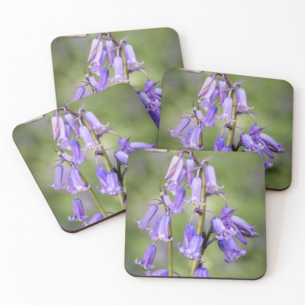Item preview, Bluebells designed and sold by JEZ22.