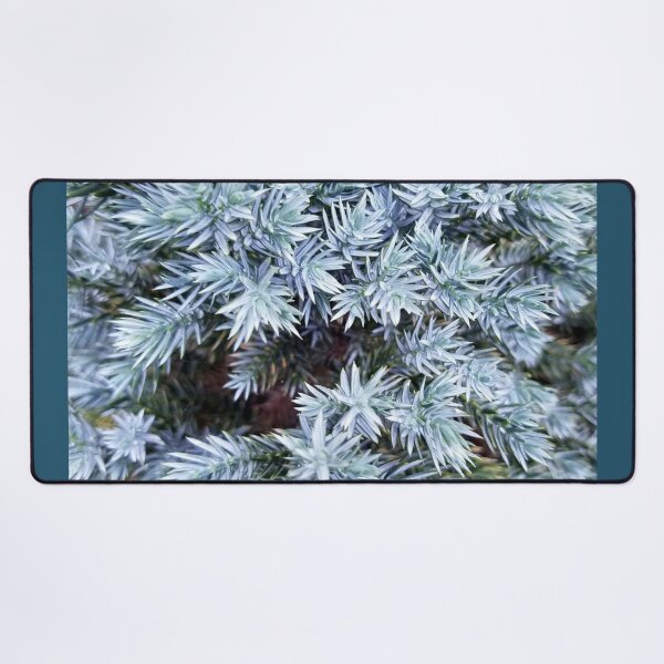 Item preview, Blue Juniper  designed and sold by MooseDogPhotos.