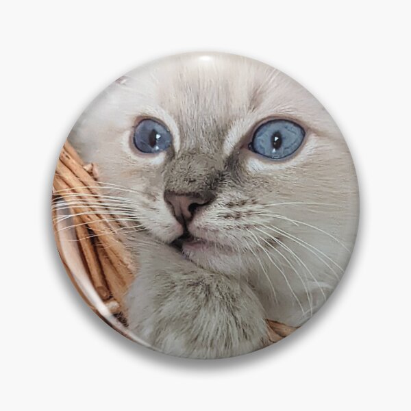 Item preview, Lynx ragdoll kitten designed and sold by Fluffycat2020.