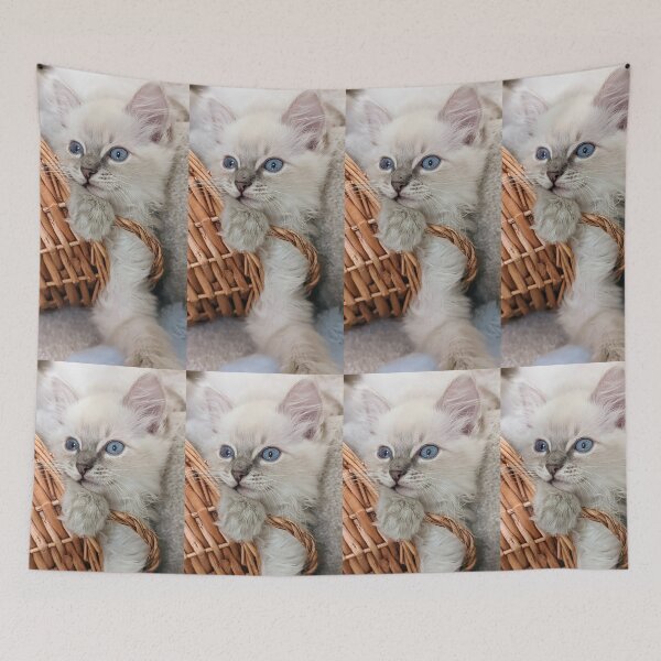 Item preview, Lynx ragdoll kitten designed and sold by Fluffycat2020.