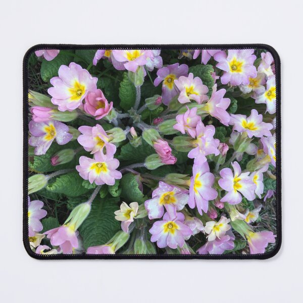 Item preview, Soft spring explotion designed and sold by elaine-gregers.