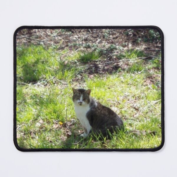 Item preview, Sunshine Kitty designed and sold by MooseDogPhotos.