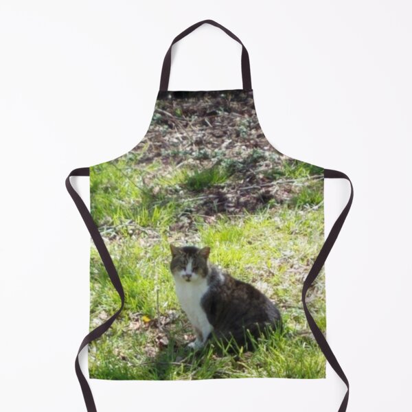 Item preview, Sunshine Kitty designed and sold by MooseDogPhotos.