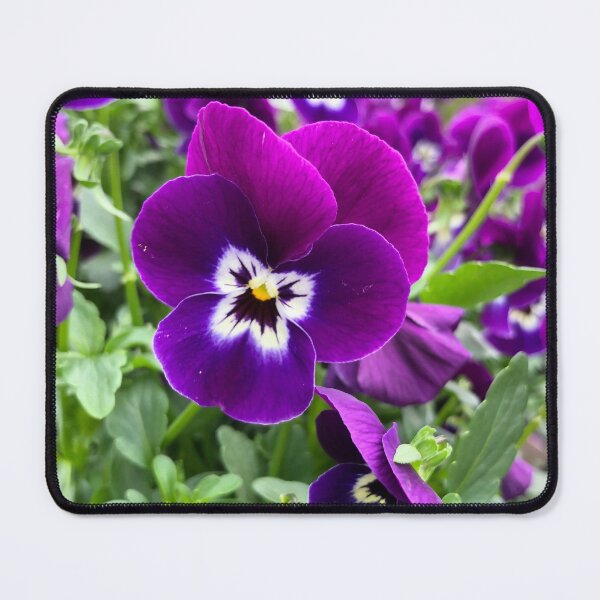 Item preview, Stedmoder blomst designed and sold by elaine-gregers.