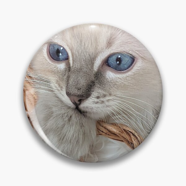 Item preview, Lynx ragdoll kitten designed and sold by Fluffycat2020.