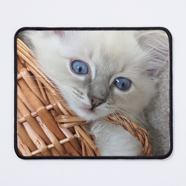 Item preview, Lynx ragdoll kitten designed and sold by Fluffycat2020.