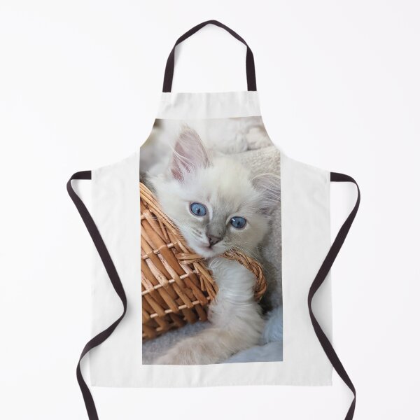 Item preview, Lynx ragdoll kitten designed and sold by Fluffycat2020.