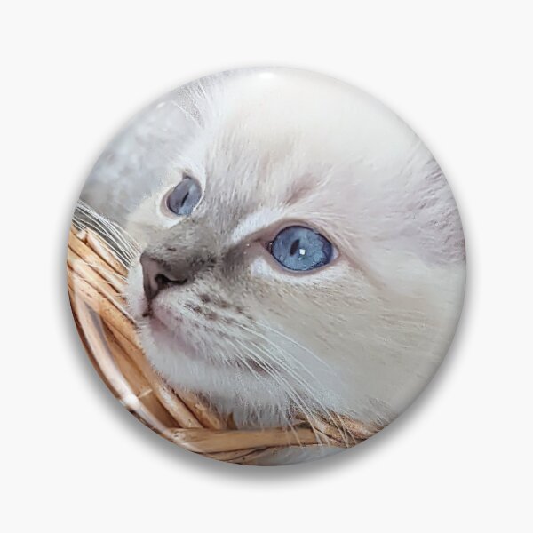 Item preview, Lynx ragdoll kitten designed and sold by Fluffycat2020.