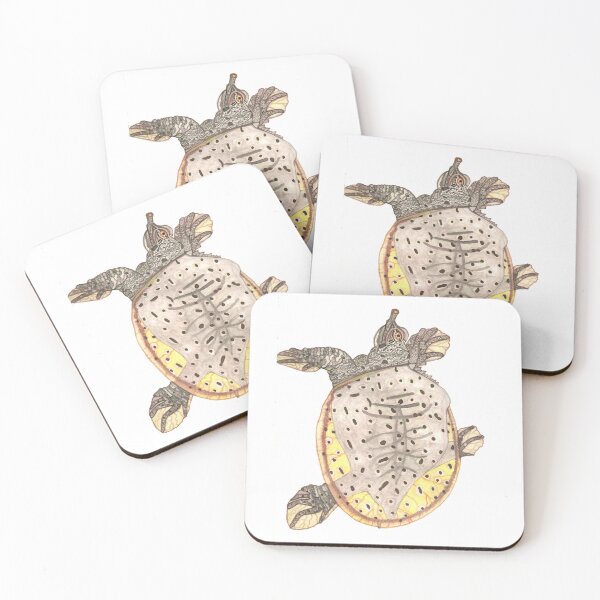Item preview, Spiny Softshell Turtle designed and sold by Stephanie Wilker.