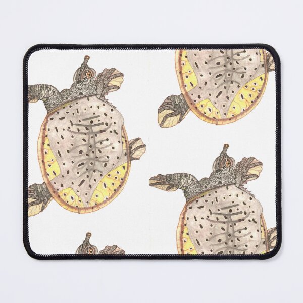 Item preview, Spiny Softshell Turtle designed and sold by Stephanie Wilker.