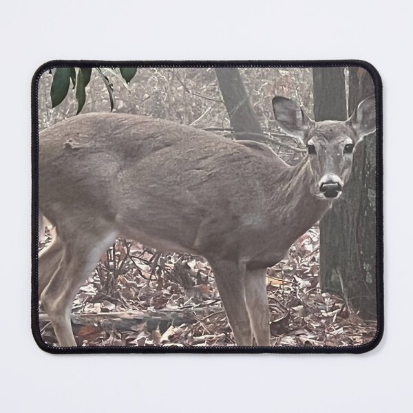 Item preview, White Tail Deer designed and sold by zwrr16.