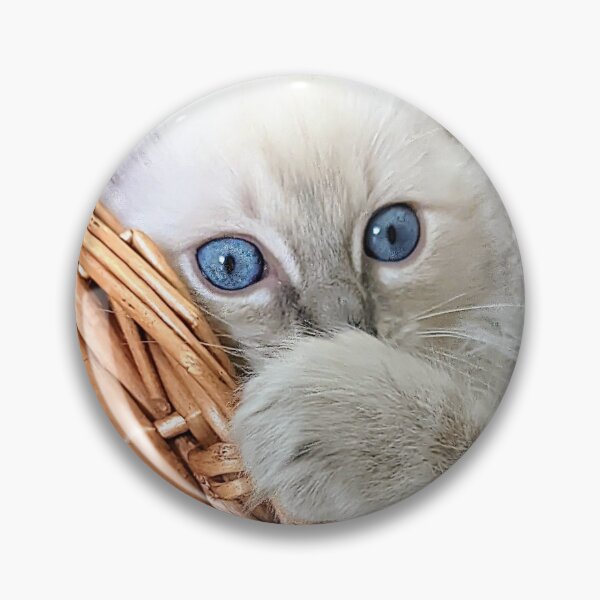 Item preview, Lynx ragdoll kitten designed and sold by Fluffycat2020.