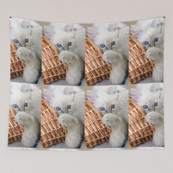 Item preview, Lynx ragdoll kitten designed and sold by Fluffycat2020.