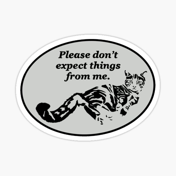 Cat Expectations Sticker