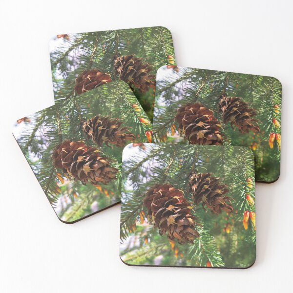 Item preview, Douglas Fir Cone Photography  designed and sold by hanyj732.