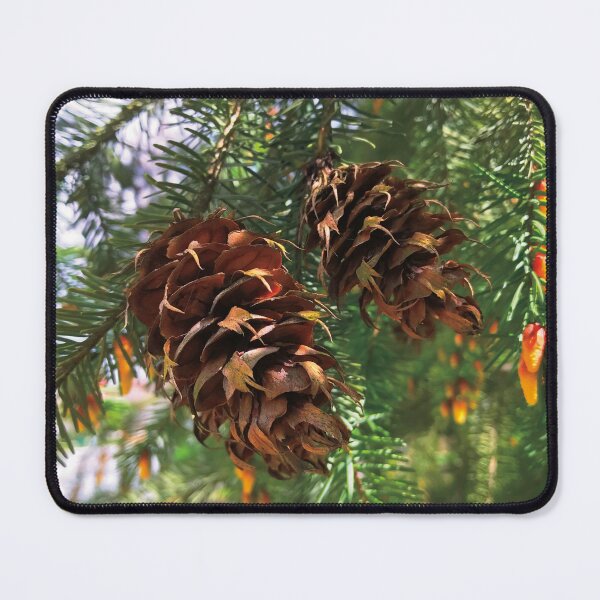 Item preview, Douglas Fir Cone Photography designed and sold by hanyj732.