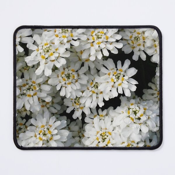 Item preview, WhiteSummer designed and sold by EleMcKay.