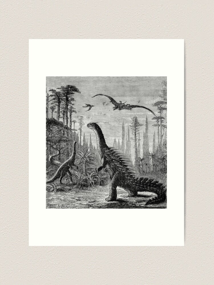 2024 SALE! Stegosaurus, Original 5