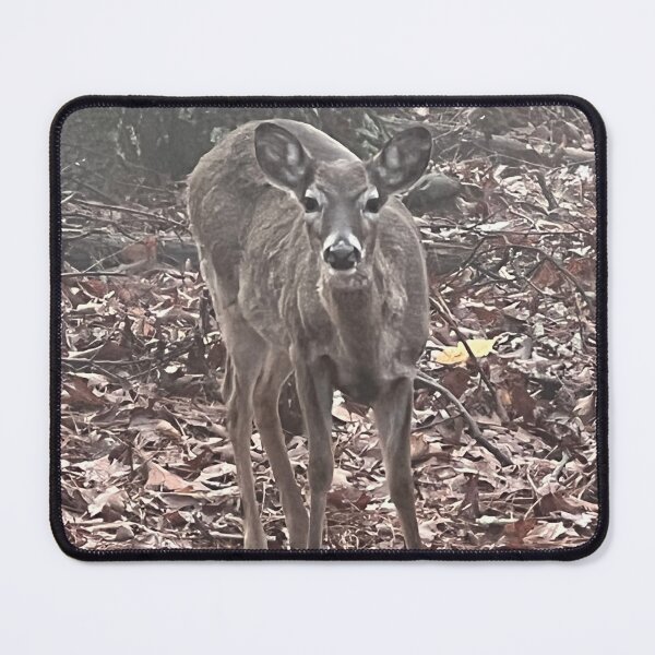 Item preview, White Tailed Deer designed and sold by zwrr16.