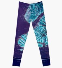 USGS TOPO Map Alaska AK Seldovia 708015 1951 250000 Inverted Leggings