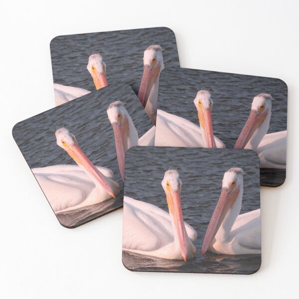 Item preview, PAIR OF PELICANS designed and sold by Cheryl Dunning.